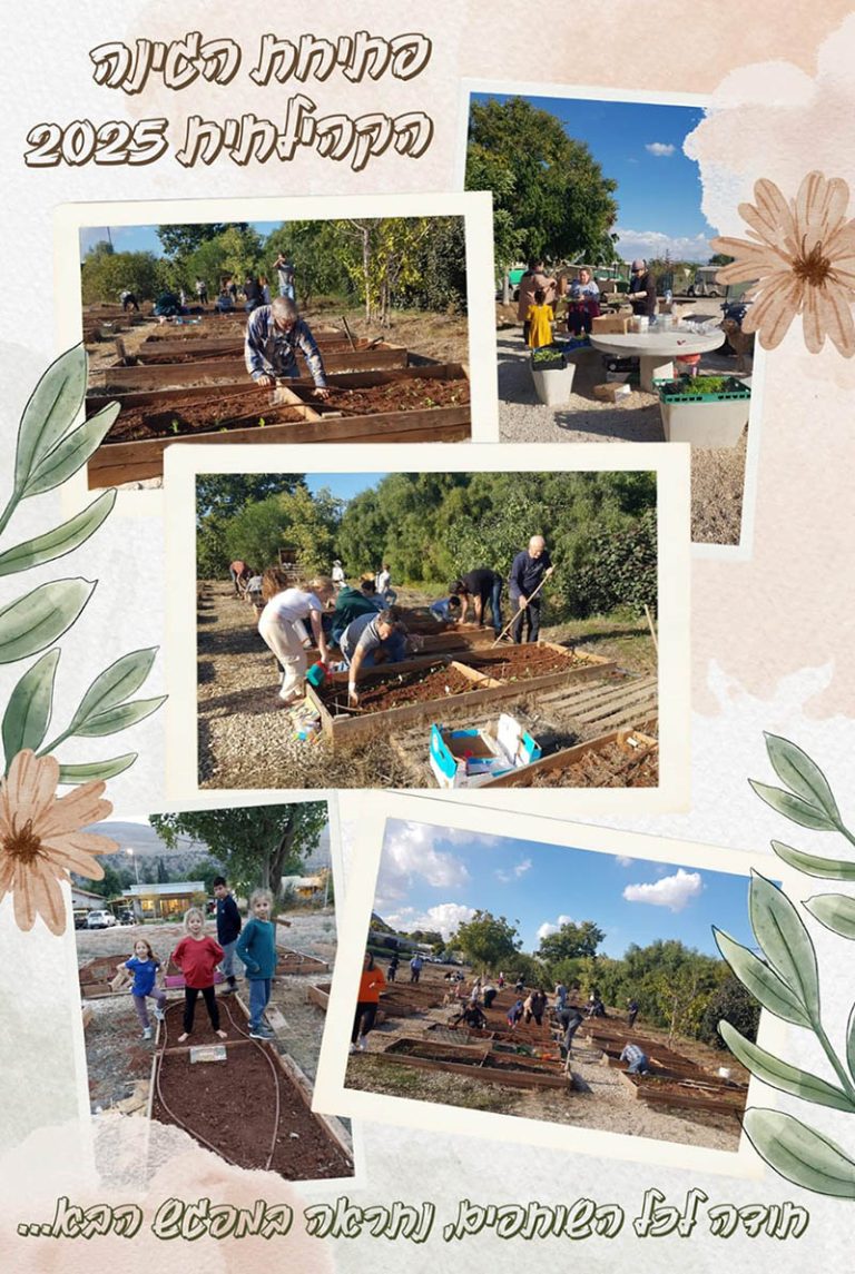 גינה קהילתית