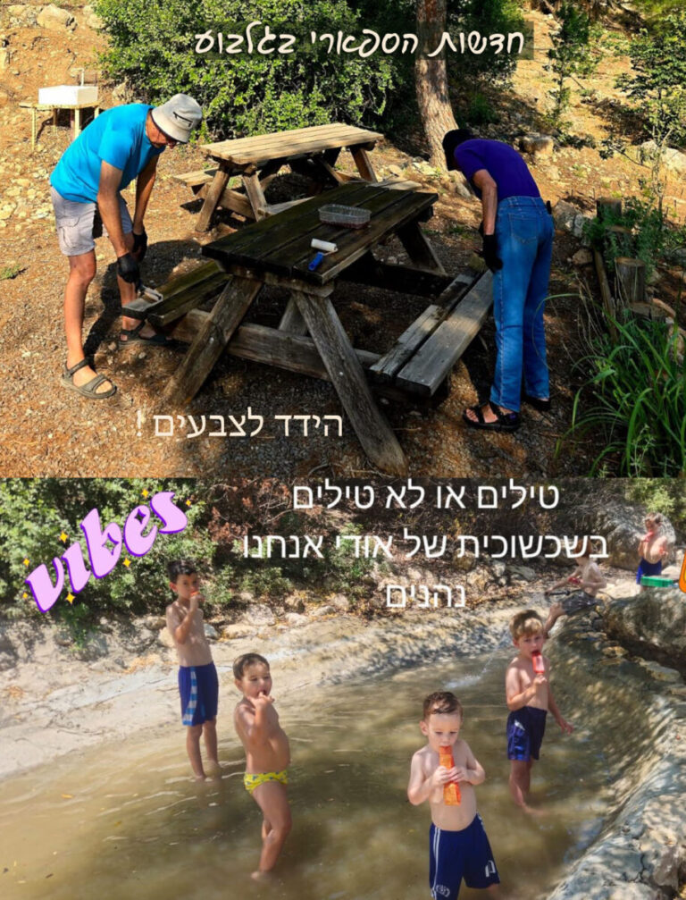 חדשות הספארי