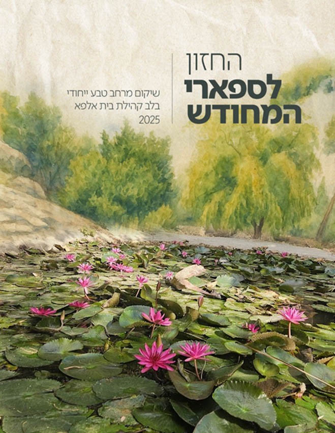 ספארי