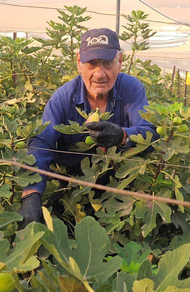 Figs2026 (3)