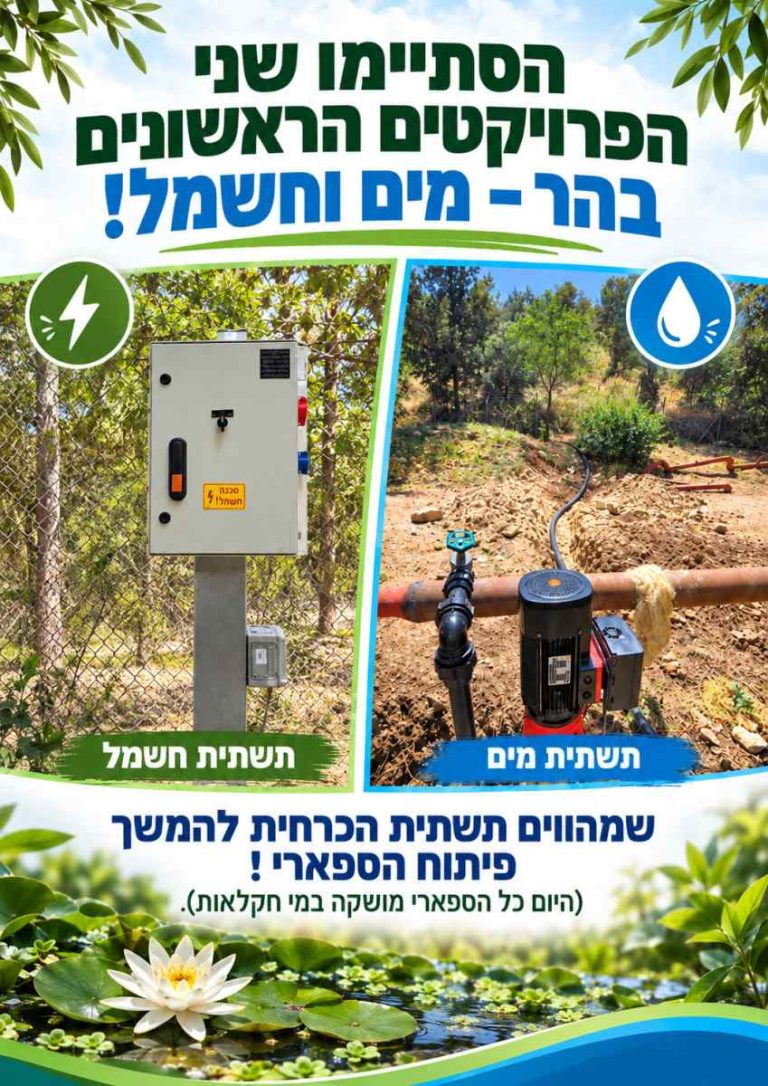 פרויקטים בספארי