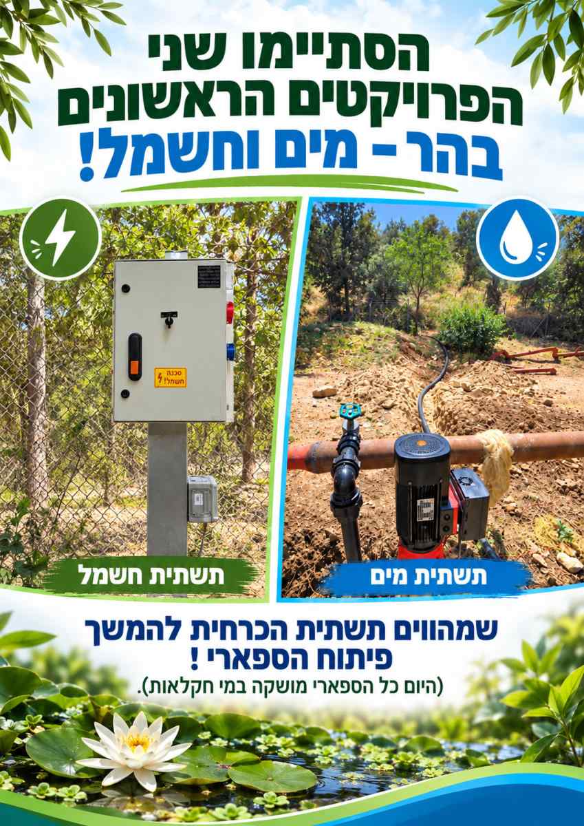 פרויקטים בספארי