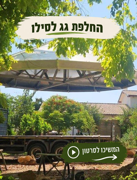 גג3